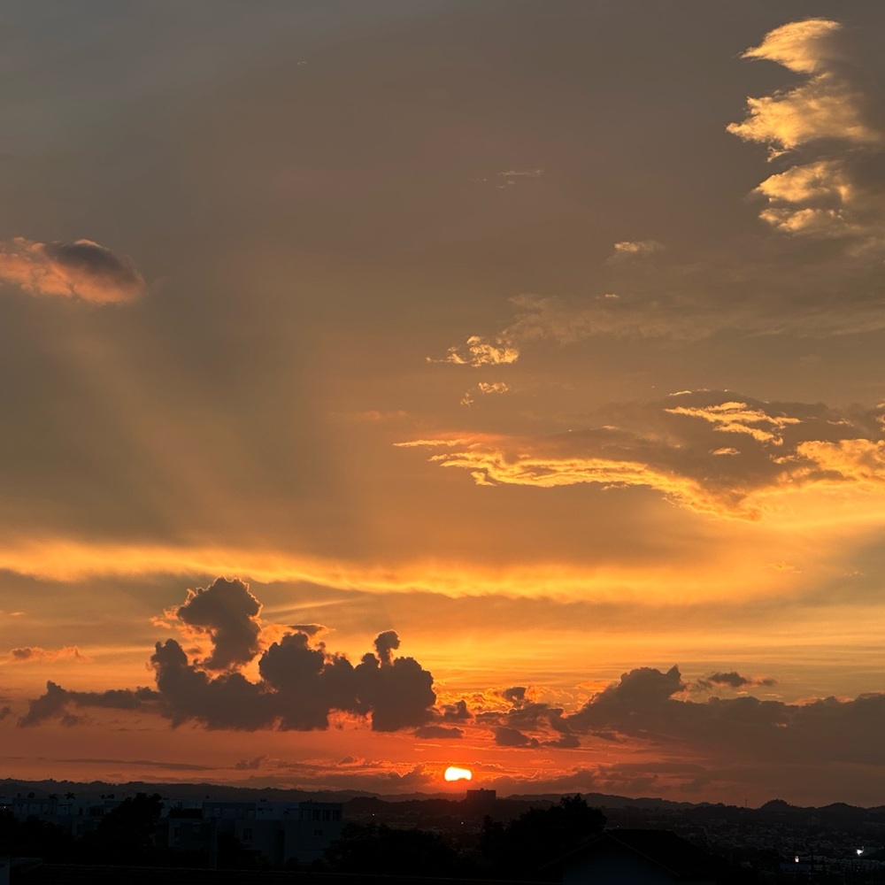 Meet your Posher, Rosalinda